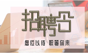 服務(wù)商戶，致力發(fā)展—安徽分公司合肥濱湖店攜手優(yōu)質(zhì)商戶人才招聘會 